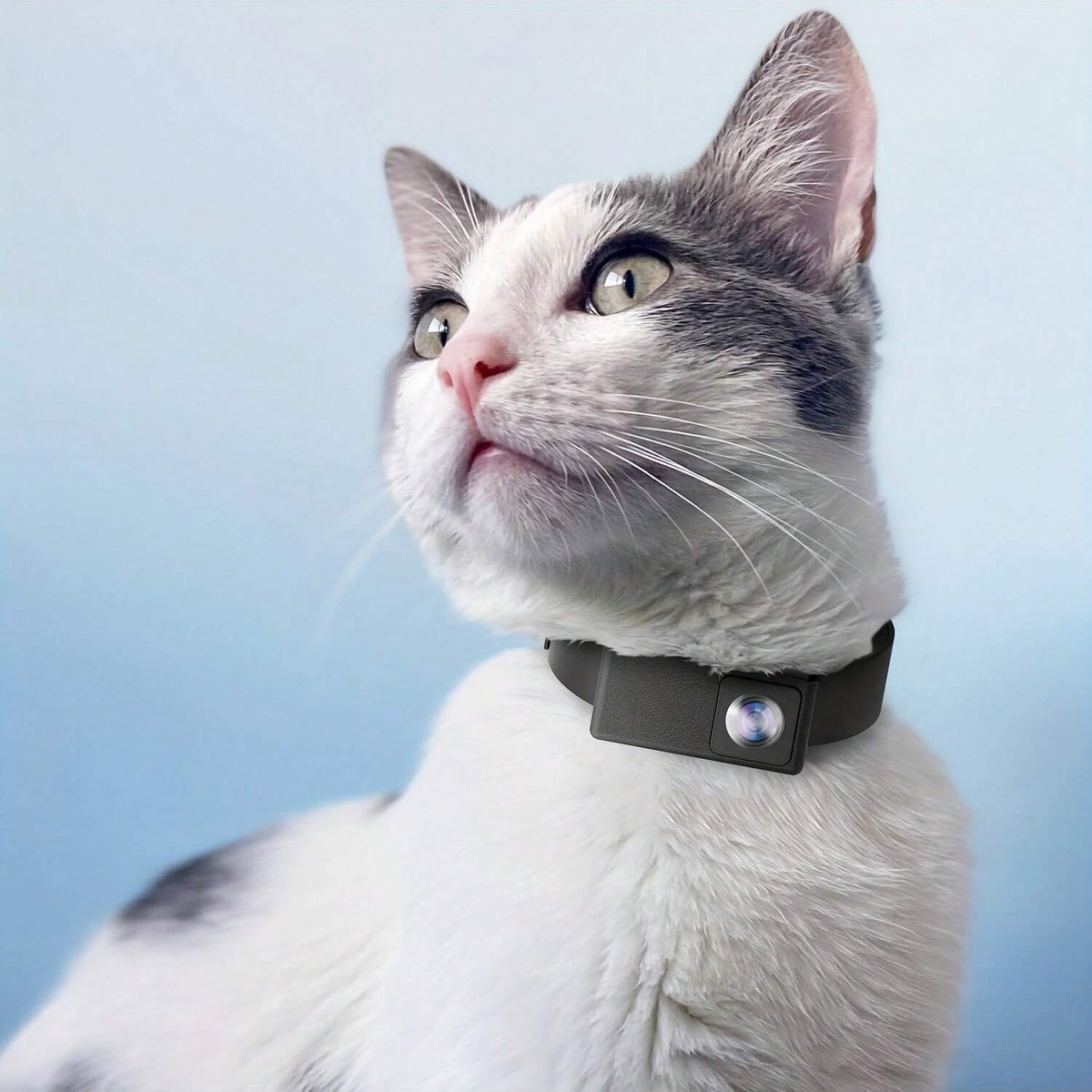 Satsus| Portable 160° Pet Camera for Cats & Dogs with 1080P HD Video – 32GB