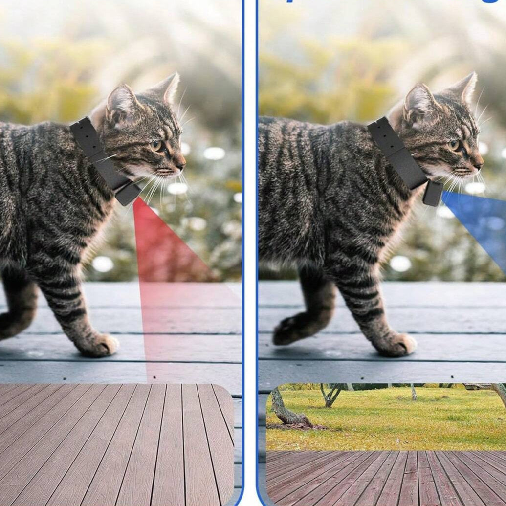 Satsus| Portable 160° Pet Camera for Cats & Dogs with 1080P HD Video – 32GB