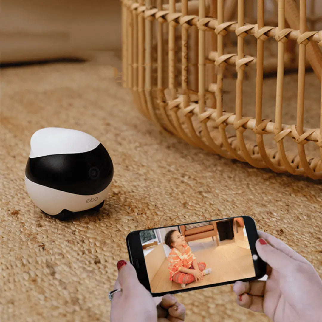 PetPatrol RoverCam360