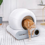 IntelliPurr Litter Station