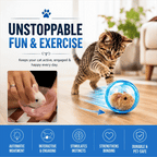 Cute Pet Spin & Fun Parent-Child Pet Interactive Toy 2 Pack