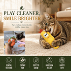 Cactus Catnip Cat Toy Collection