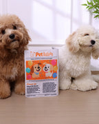 2-Pack Bundle Newspaper Interactive Crinkle Dog Toy for Boredom Relief