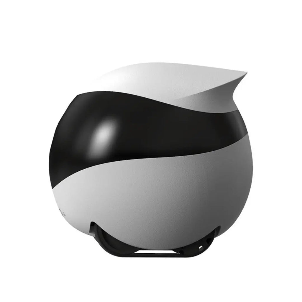 PetPatrol RoverCam360