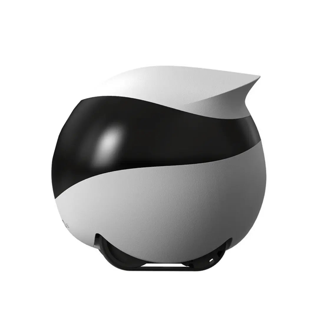 PetPatrol RoverCam360