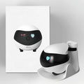 PetPatrol RoverCam360