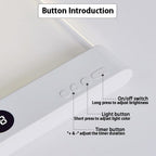 Reading Lamp