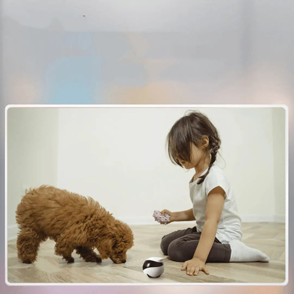PetPatrol RoverCam360
