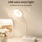 SmartVoice LED Desk Lamp