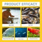 Rapid Action Liquid Bait Scent