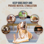 Coffee Wood Dog Chew Sticks - 2 Pack
