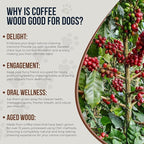 Coffee Wood Dog Chew Sticks - 2 Pack