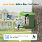 Centvicam Smart Bird Feeder with Camera – 2K HD Live View
