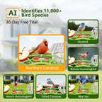 Centvicam Smart Bird Feeder with Camera – 2K HD Live View