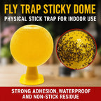 Sticky Fruit Fly Trap Ball