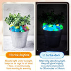 Versatile Glowing DIY Stones