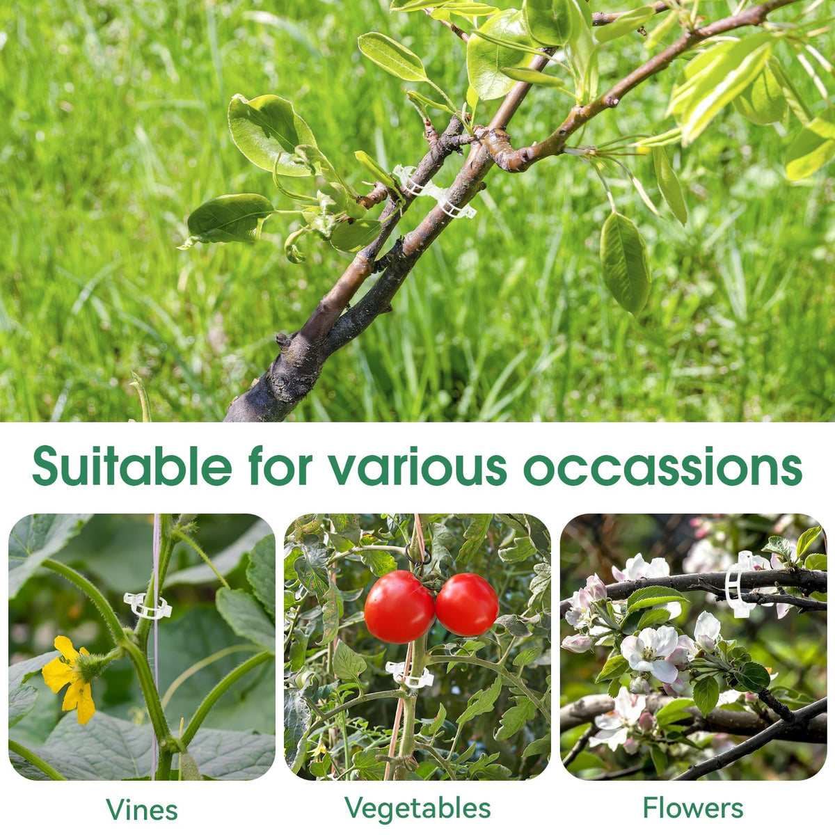 Tomato Clips, Plastic Trellis Clips