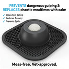 1The Zen Dog Soothing Bowl