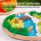 DIY Preserved Moss Art Kit with Bamboo Frame