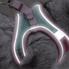 Night Reflective Pet Leash for Small Dogs & Cats