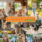 Night Reflective Pet Leash for Small Dogs & Cats
