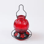 Glass Hummingbird Feeder