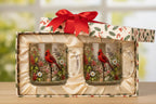 Limited Edition 2026 Garden Morning Bliss Glass Cup Collection