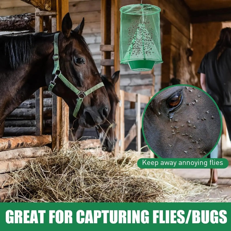 Reusable Wire Fly Trap