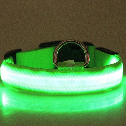 Satsus Glow Collar — USB-Rechargeable LED Dog Collar