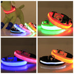 Satsus Glow Collar — USB-Rechargeable LED Dog Collar