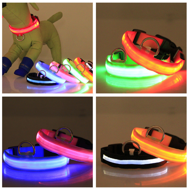 Satsus Glow Collar — USB-Rechargeable LED Dog Collar