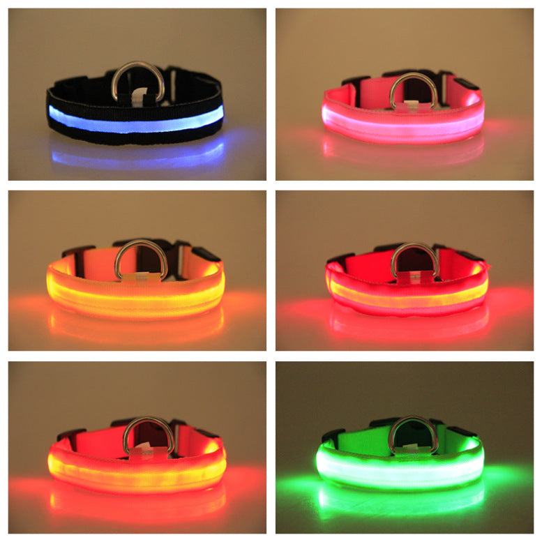 Satsus Glow Collar — USB-Rechargeable LED Dog Collar