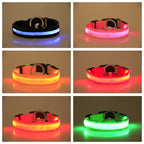 Satsus Glow Collar — USB-Rechargeable LED Dog Collar