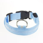 Satsus Glow Collar — USB-Rechargeable LED Dog Collar
