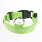 Satsus Glow Collar — USB-Rechargeable LED Dog Collar