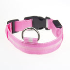 Satsus Glow Collar — USB-Rechargeable LED Dog Collar