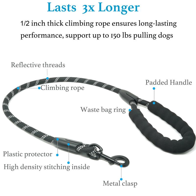 Heavy Duty Dog Leash with Shock Absorbing Bungee