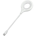 SmartVoice LED Desk Lamp