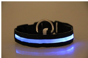 Satsus Glow Collar — USB-Rechargeable LED Dog Collar