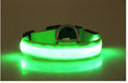Satsus Glow Collar — USB-Rechargeable LED Dog Collar