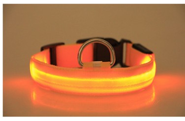 Satsus Glow Collar — USB-Rechargeable LED Dog Collar