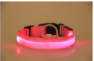 Satsus Glow Collar — USB-Rechargeable LED Dog Collar