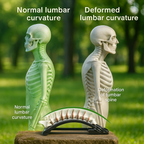 Back Massage Magic Stretcher Backbone Stretcher Pain Reliever