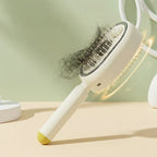 Electric Spray Air Cushion Massage Comb