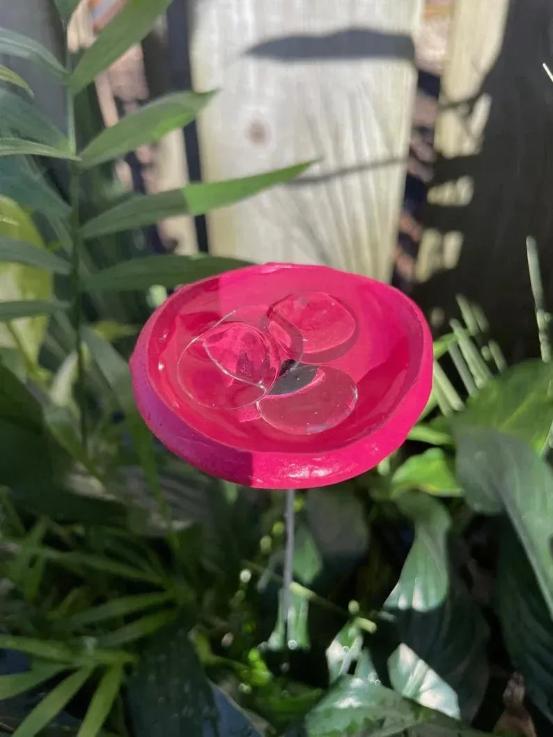 Bee Watering Station.Butter flyPuddler.Hummingbird Drinking Cups