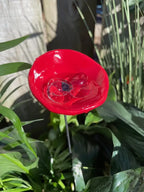 Bee Watering Station.Butter flyPuddler.Hummingbird Drinking Cups
