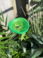 Bee Watering Station.Butter flyPuddler.Hummingbird Drinking Cups