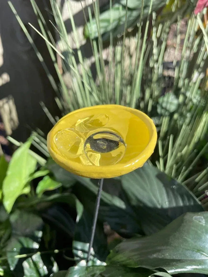 Bee Watering Station.Butter flyPuddler.Hummingbird Drinking Cups