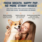 Pet Dental Tartar Care Spray for Dogs & Cats-2 PCS