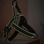 Chest Harness & Leash Set for Large Dogs